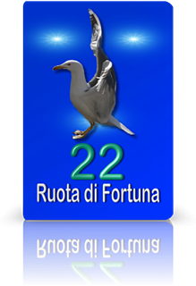 carte dei gabbiani francesco
